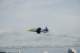 dsc_1624_small.jpg