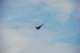 dsc_1642_small.jpg