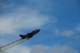 dsc_1788_small.jpg
