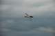 dsc_1927_small.jpg