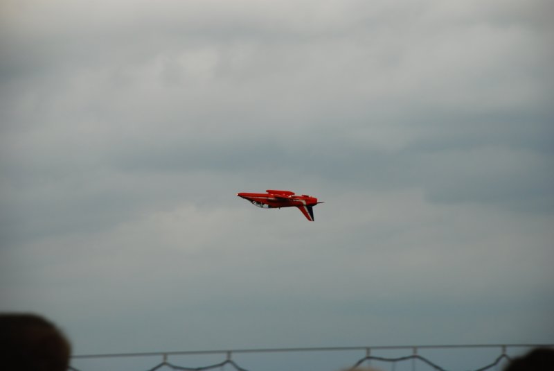 dsc_1960.jpg