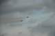 dsc_1989_small.jpg