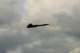 dsc_2047_small.jpg