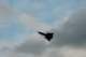 dsc_2055_small.jpg