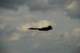 dsc_2068_small.jpg