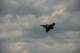 dsc_2116_small.jpg